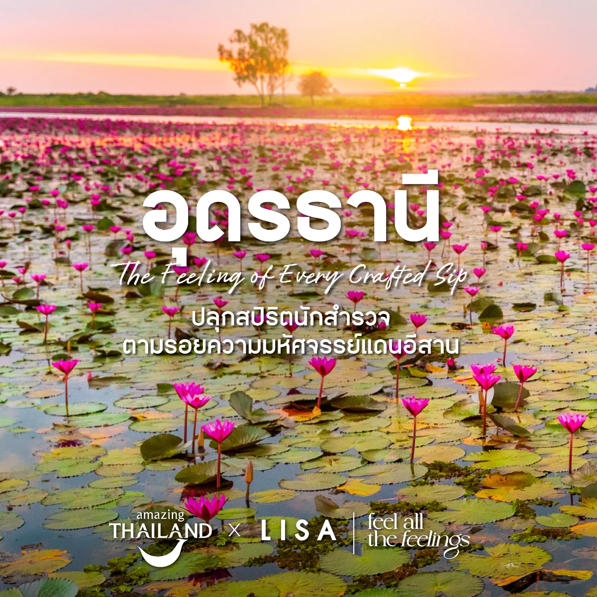 อุดรธานี The Feeling of Endless Discovery ปลุกสปิริตนักสำรวจ ตามรอยความมหัศจรรย์แดนอีสาน - Image 1
